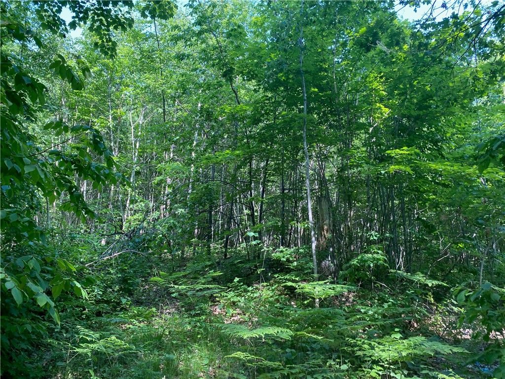Lot 7 Secluded Trail Hayward WI 54843 1574035 image8