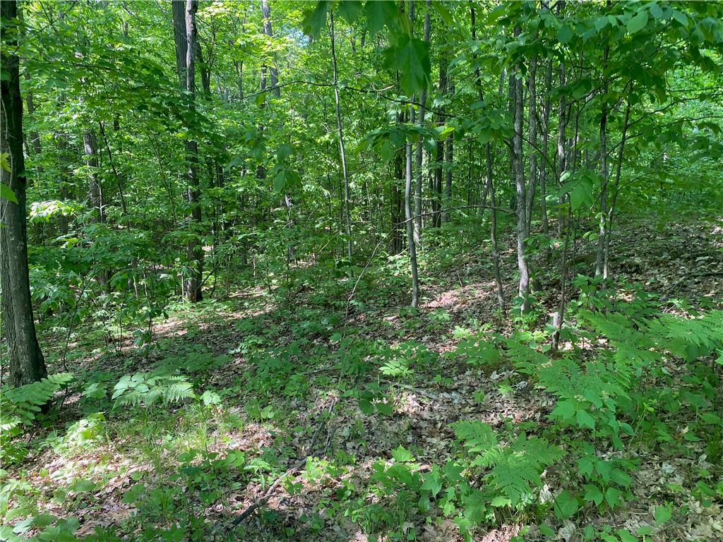 Lot 7 Secluded Trail Hayward WI 54843 1574035 image9