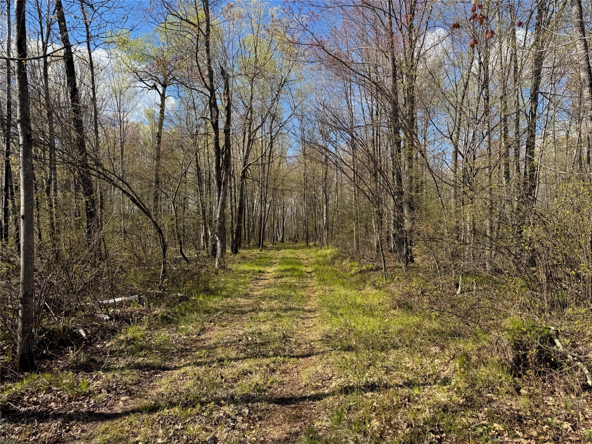 Lot 7 Trapper Trail Hayward WI 54843 - Chippewa 1601111 image16