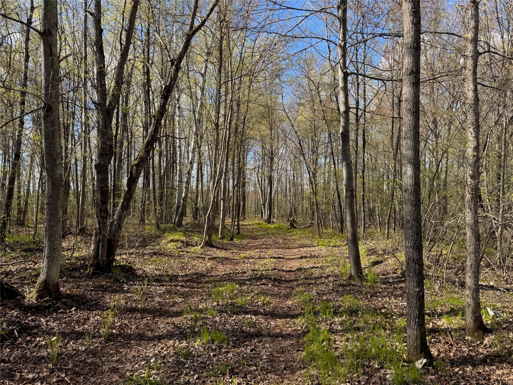 Lot 7 Trapper Trail Hayward WI 54843 - Chippewa 1601111 image17