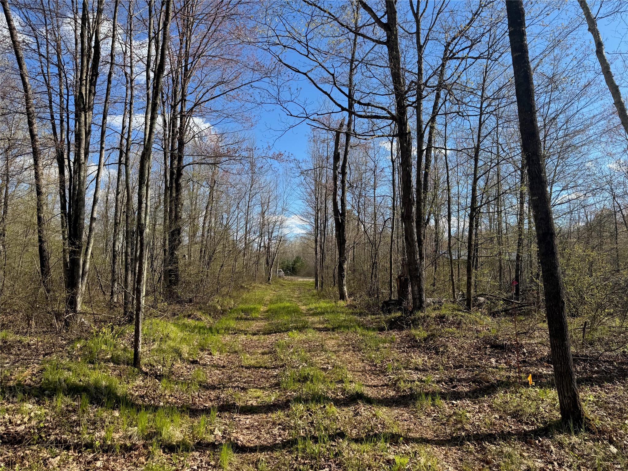Lot 7 Trapper Trail Hayward WI 54843 - Chippewa 1601111 image18