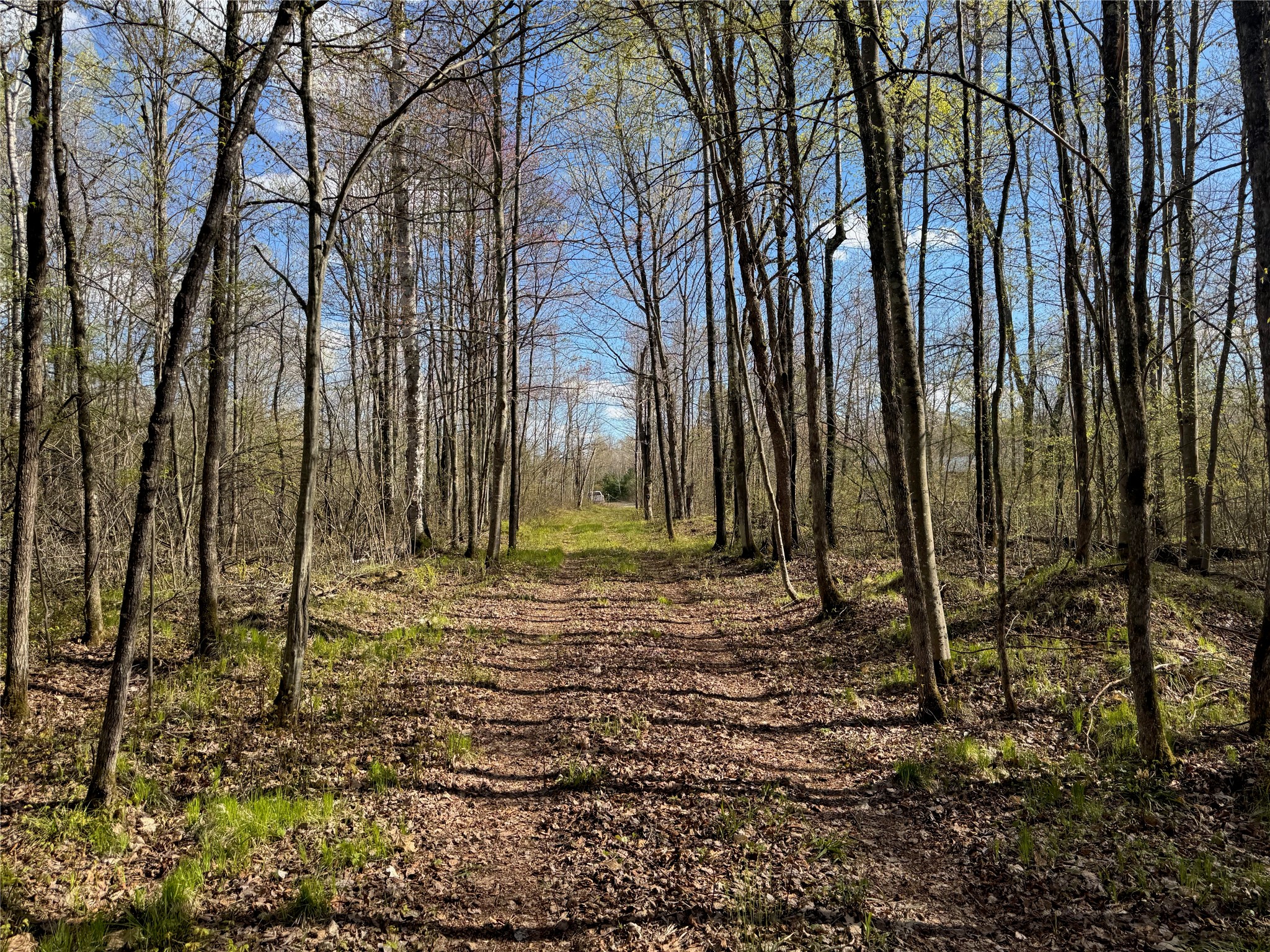 Lot 7 Trapper Trail Hayward WI 54843 - Chippewa 1601111 image20