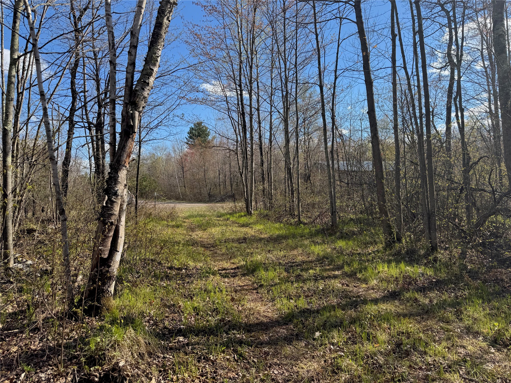 Lot 7 Trapper Trail Hayward WI 54843 - Chippewa 1601111 image21
