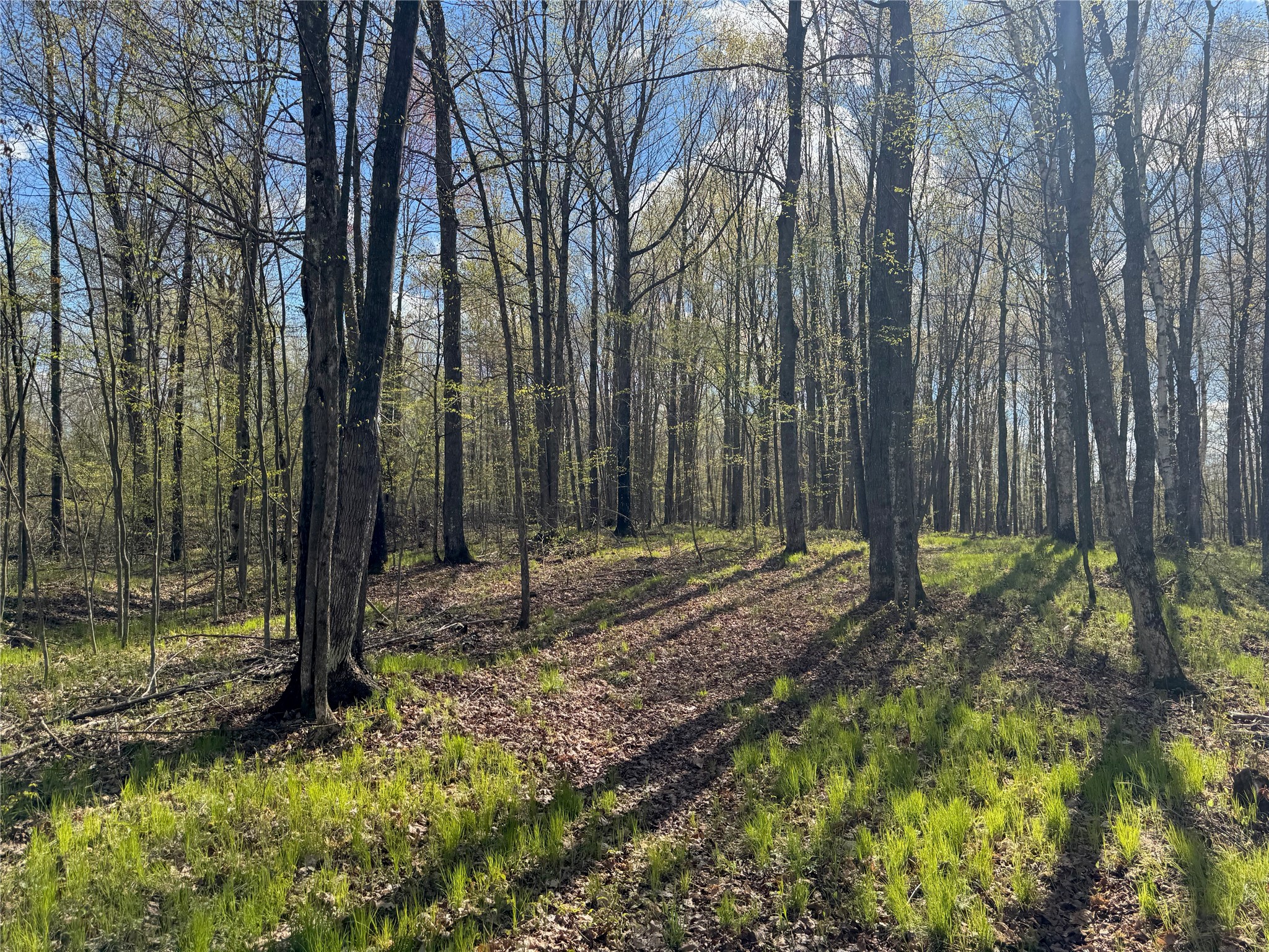 Lot 7 Trapper Trail Hayward WI 54843 - Chippewa 1601111 image22