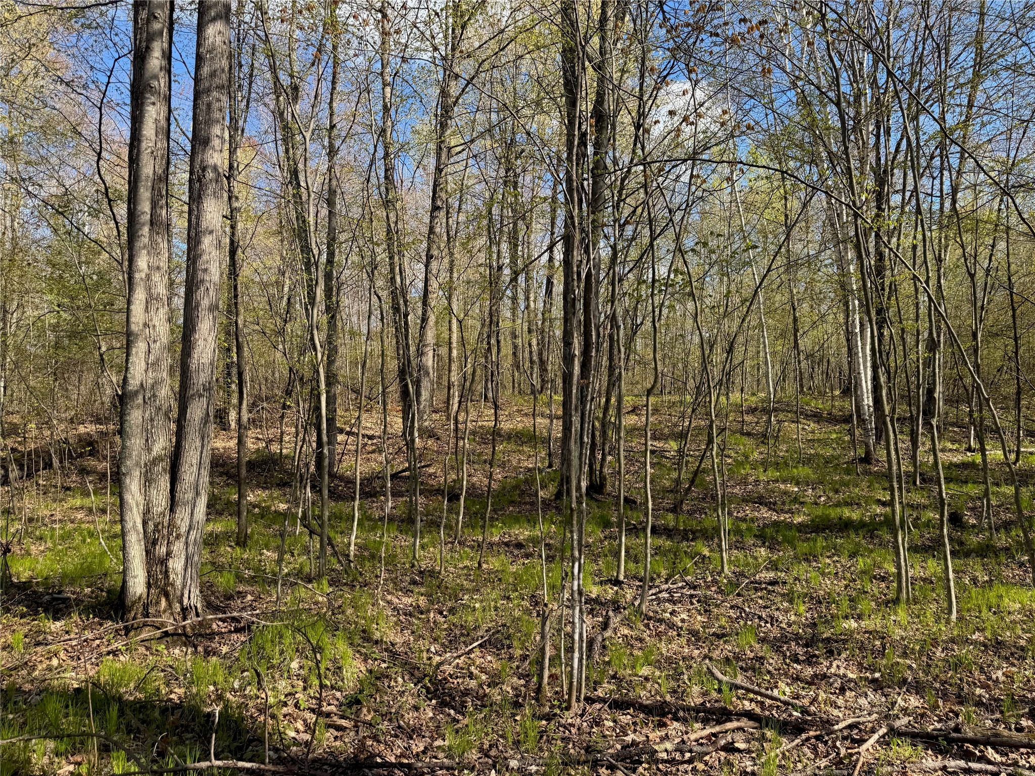 Lot 7 Trapper Trail Hayward WI 54843 - Chippewa 1601111 image23