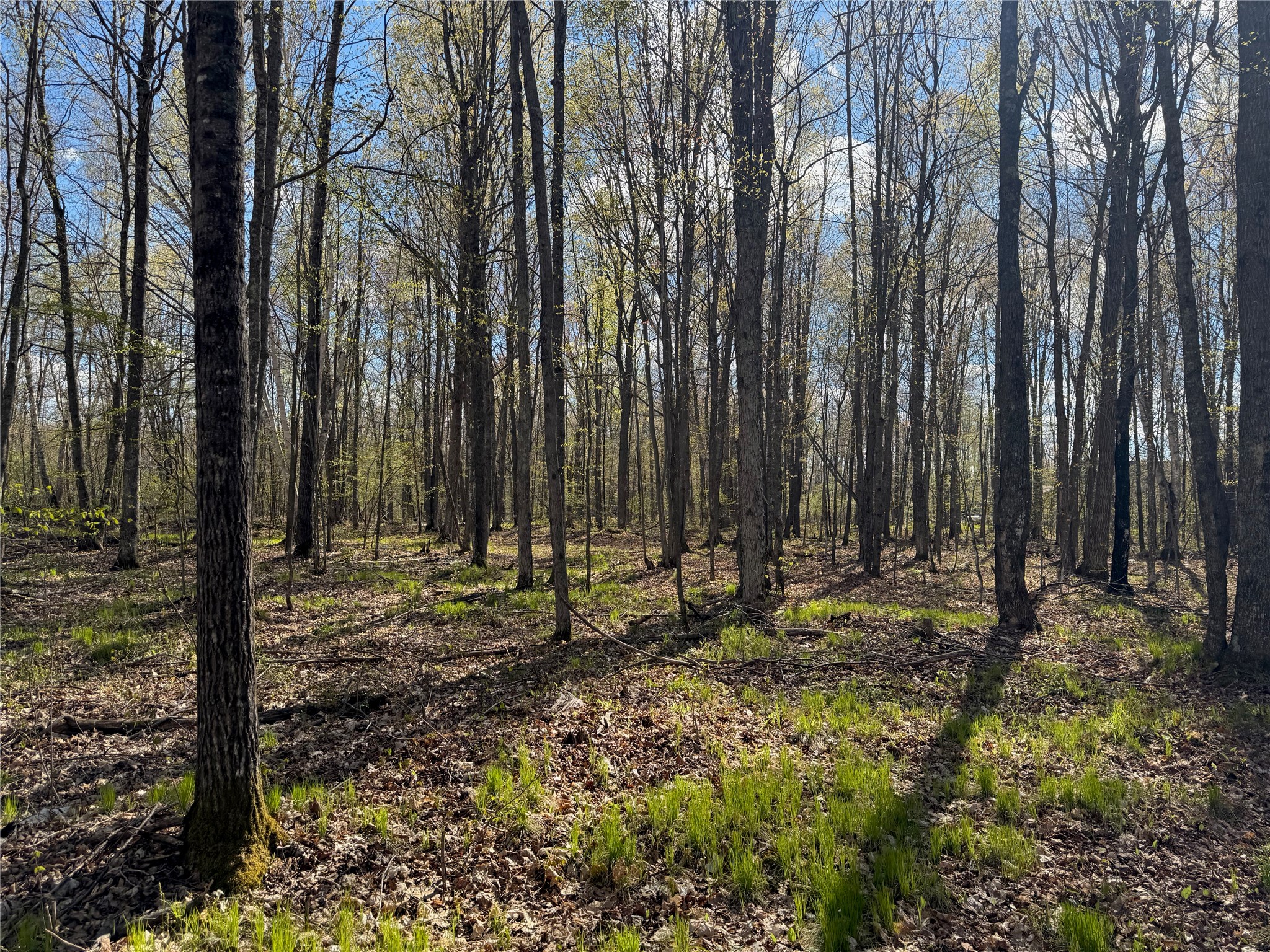 Lot 7 Trapper Trail Hayward WI 54843 - Chippewa 1601111 image25