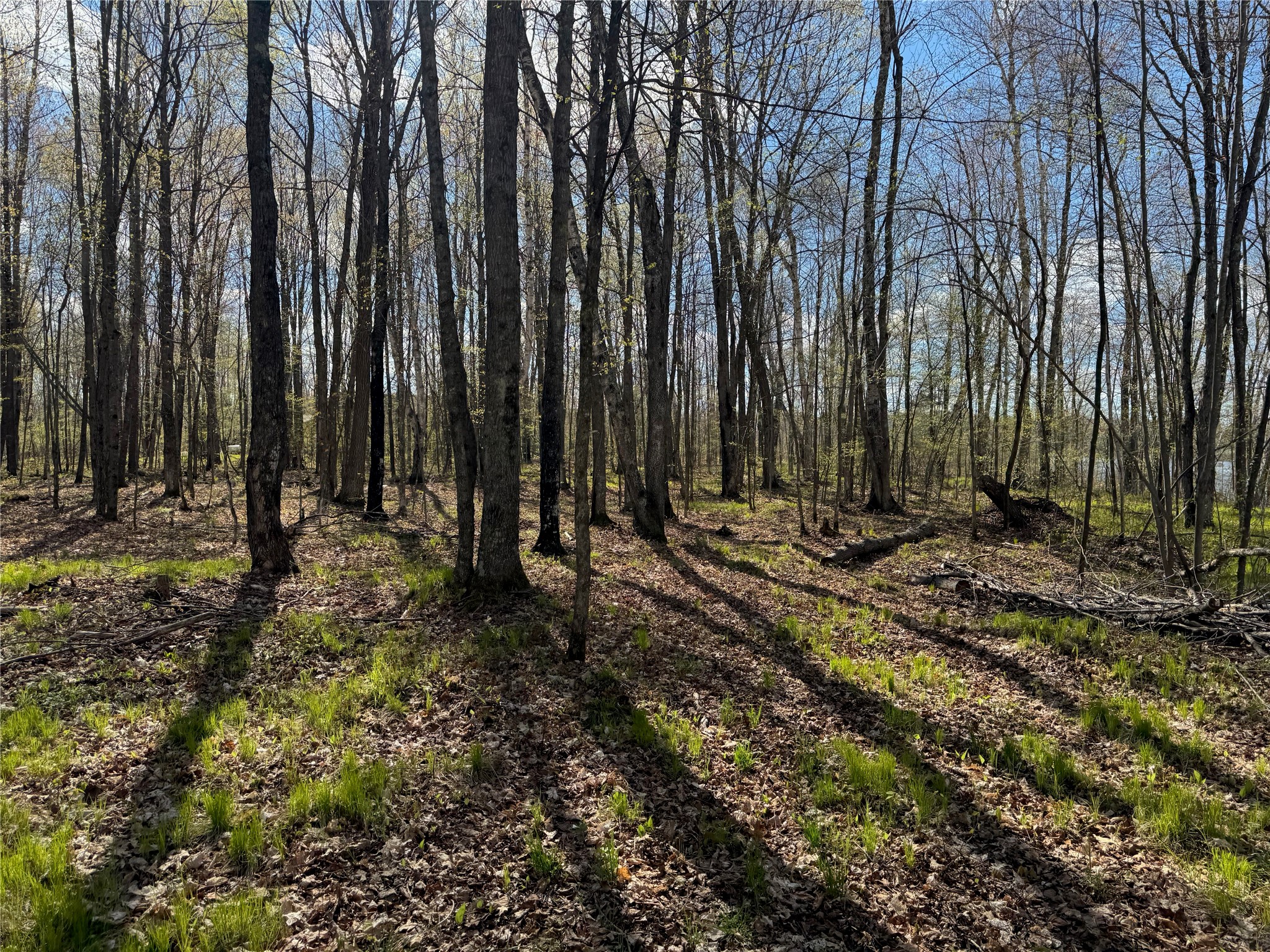 Lot 7 Trapper Trail Hayward WI 54843 - Chippewa 1601111 image26