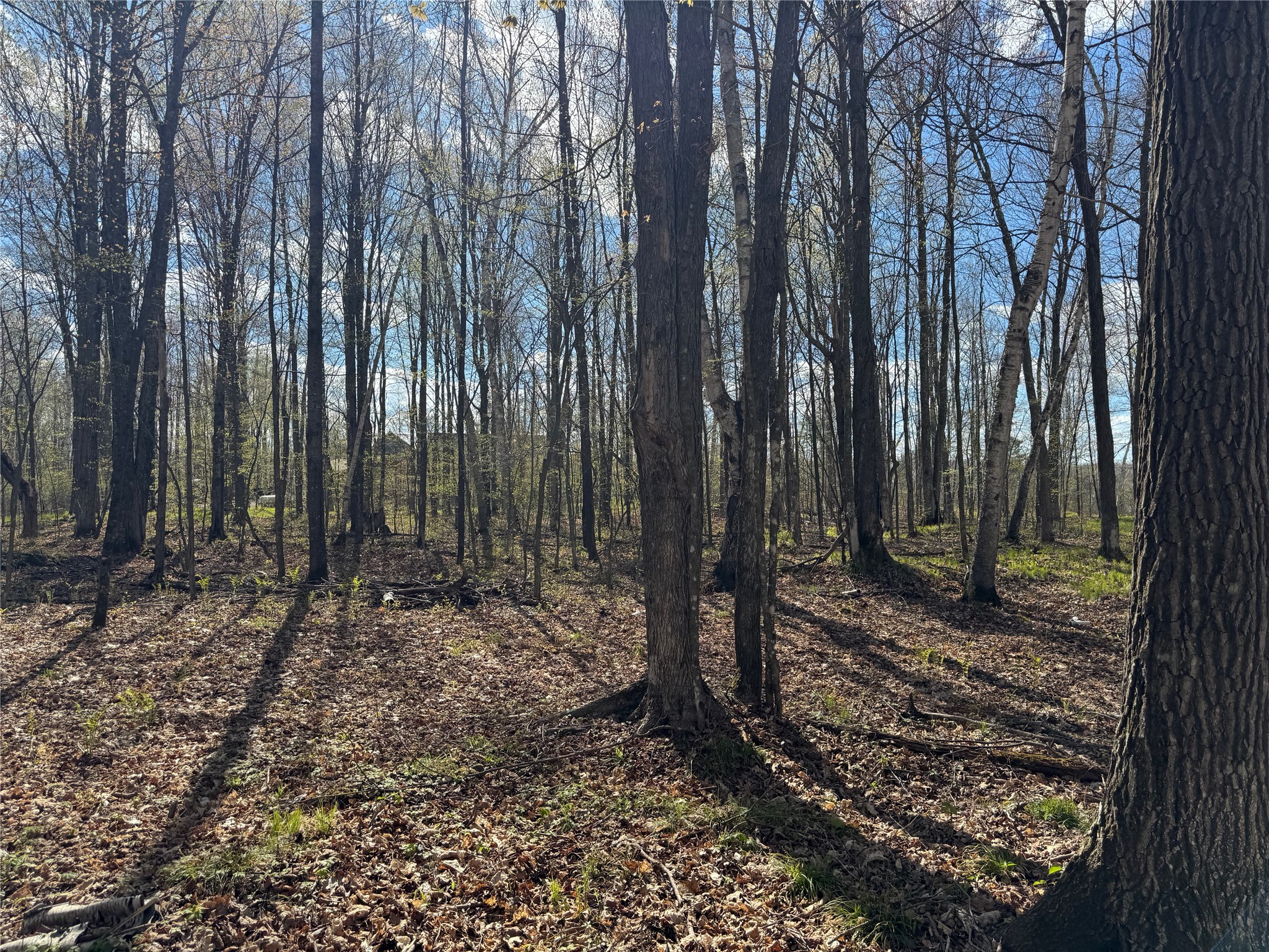 Lot 7 Trapper Trail Hayward WI 54843 - Chippewa 1601111 image27