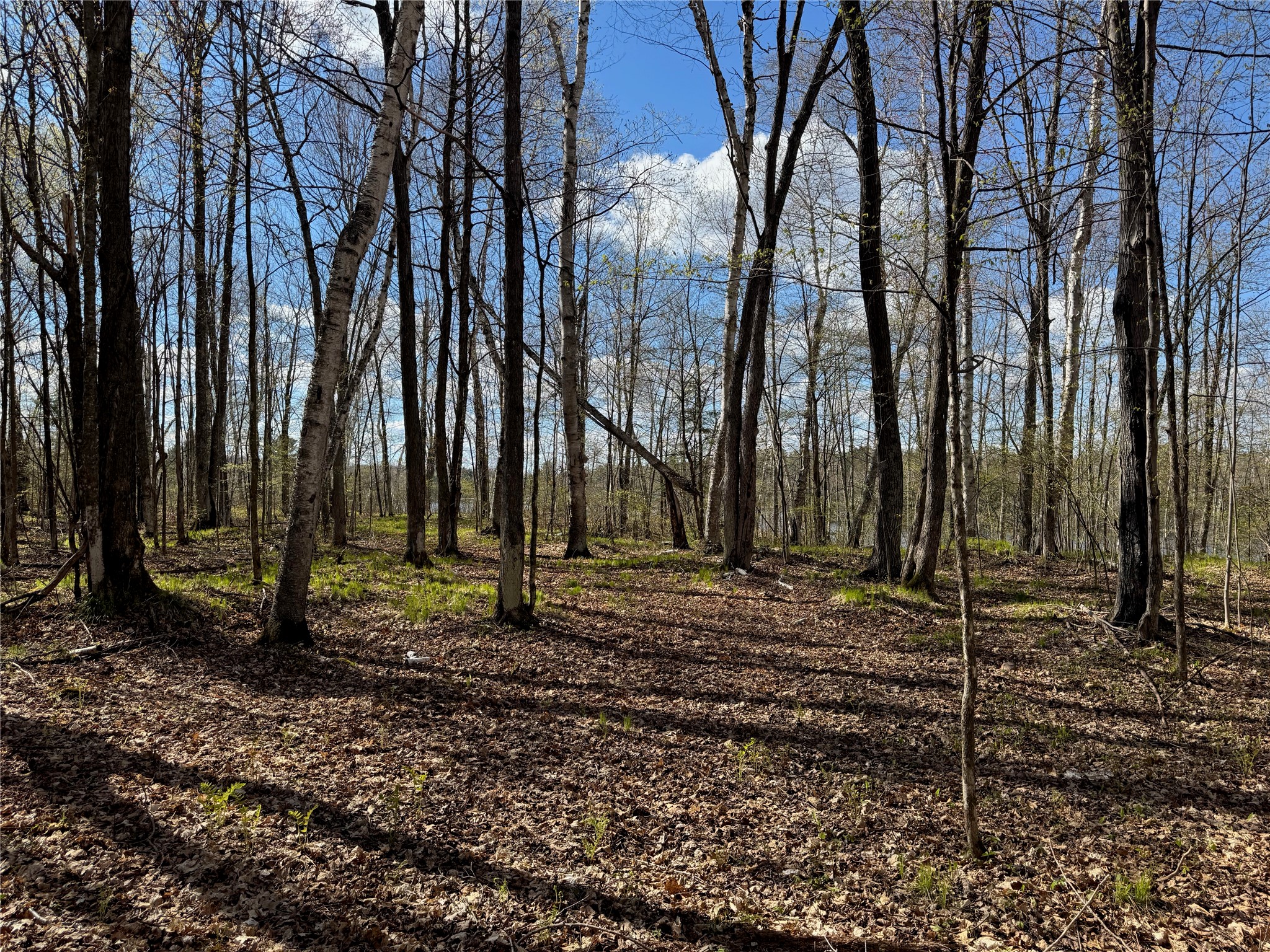Lot 7 Trapper Trail Hayward WI 54843 - Chippewa 1601111 image28