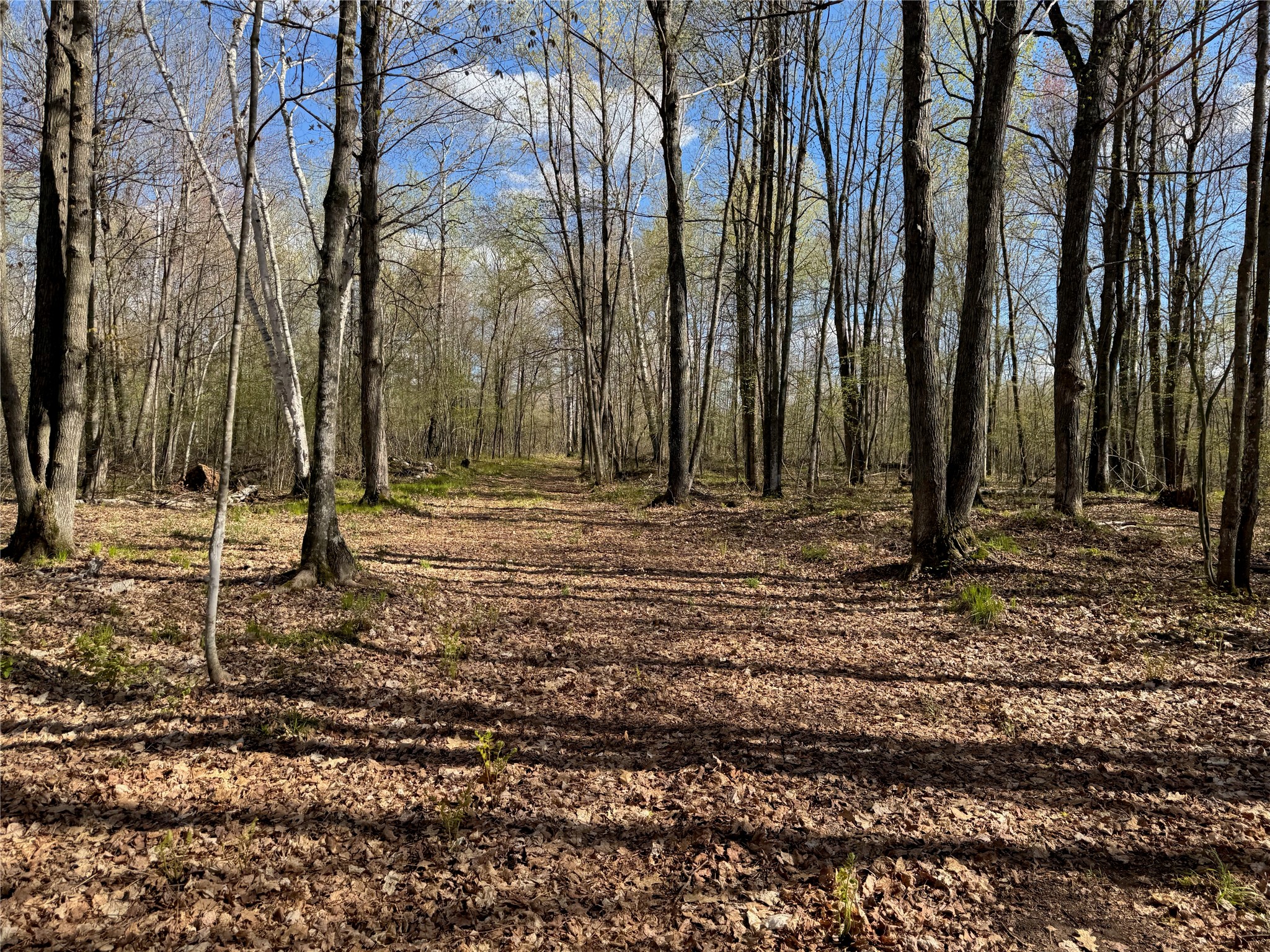 Lot 7 Trapper Trail Hayward WI 54843 - Chippewa 1601111 image29