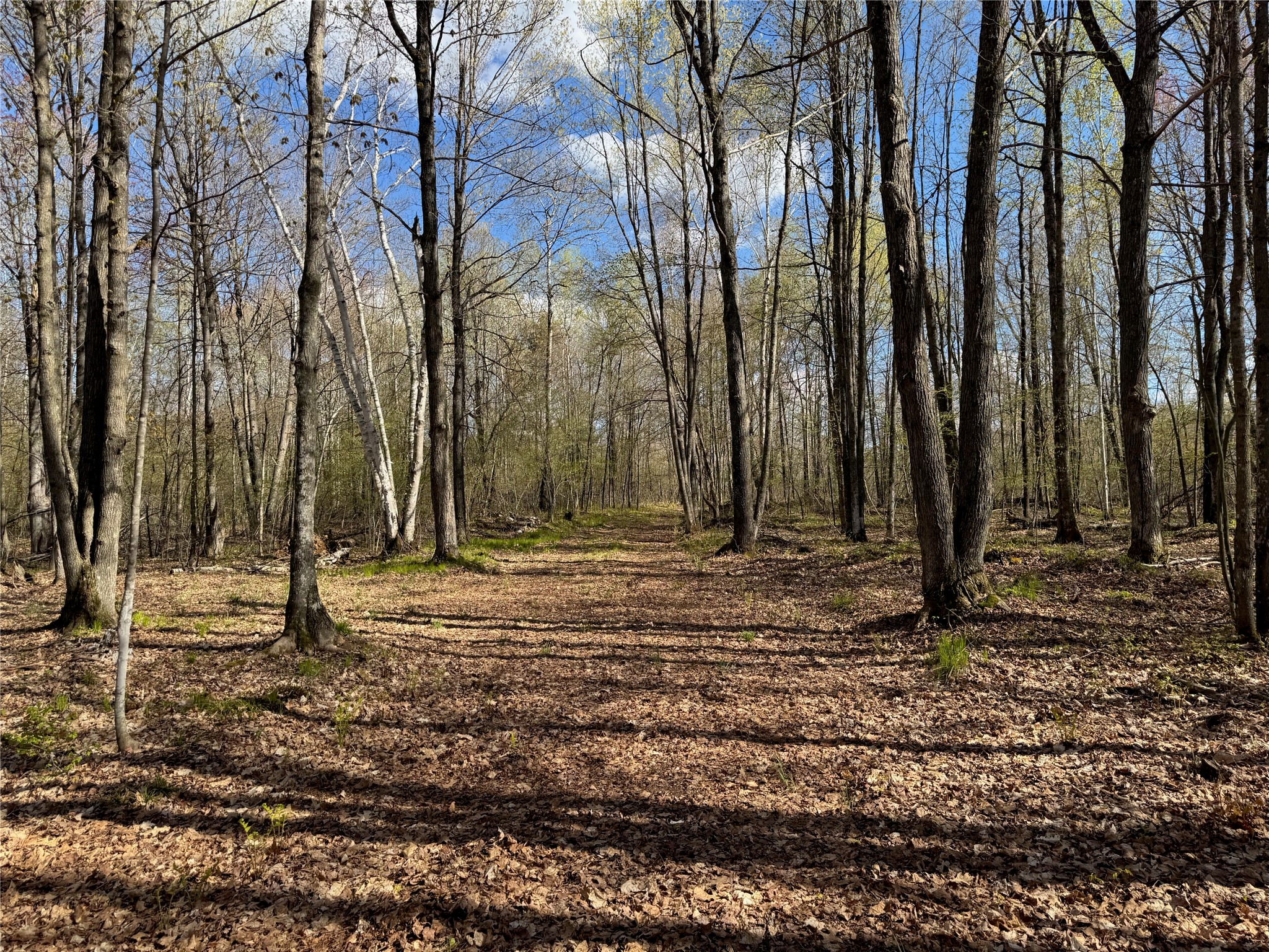 Lot 7 Trapper Trail Hayward WI 54843 - Chippewa 1601111 image30
