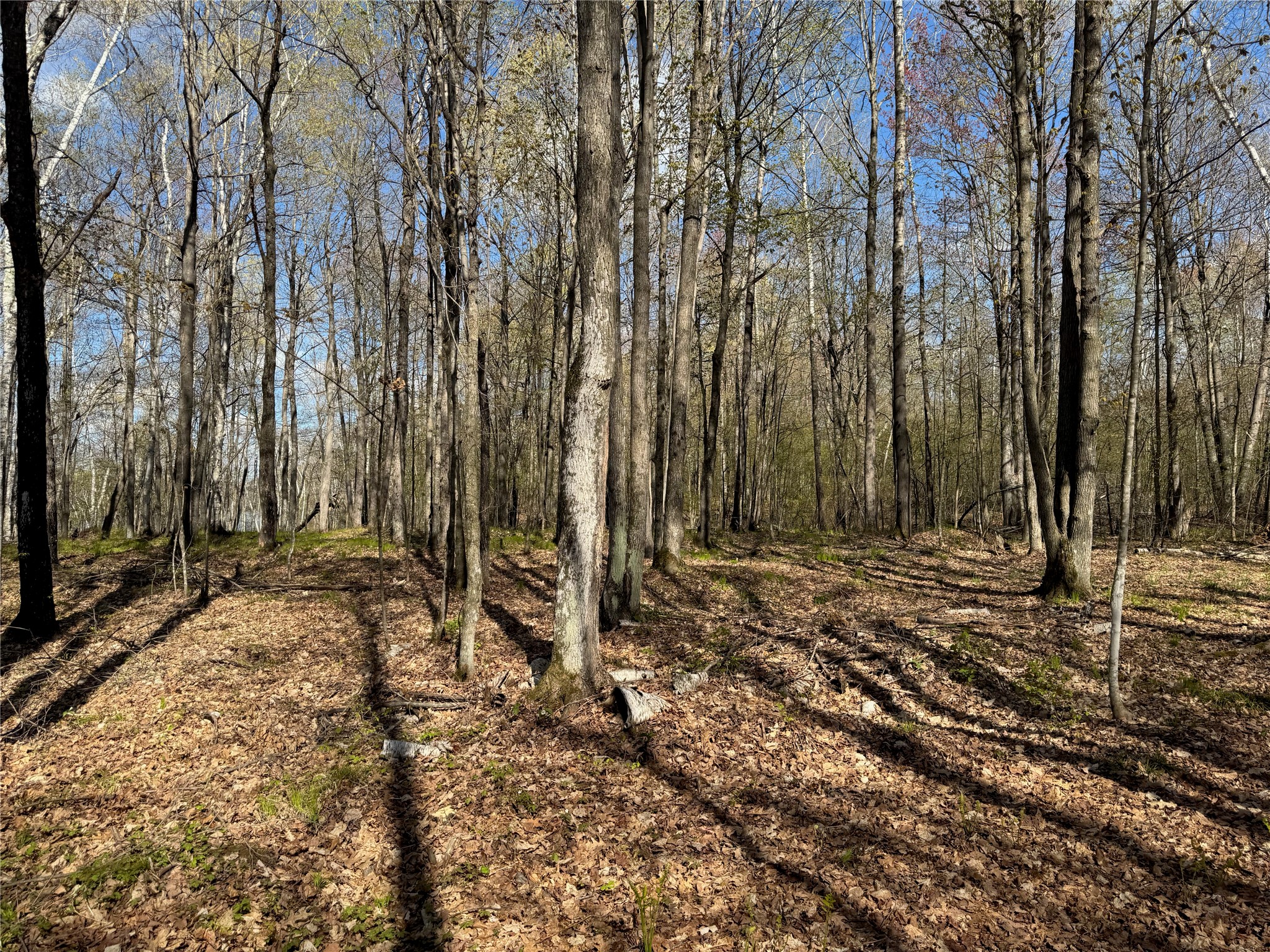 Lot 7 Trapper Trail Hayward WI 54843 - Chippewa 1601111 image31