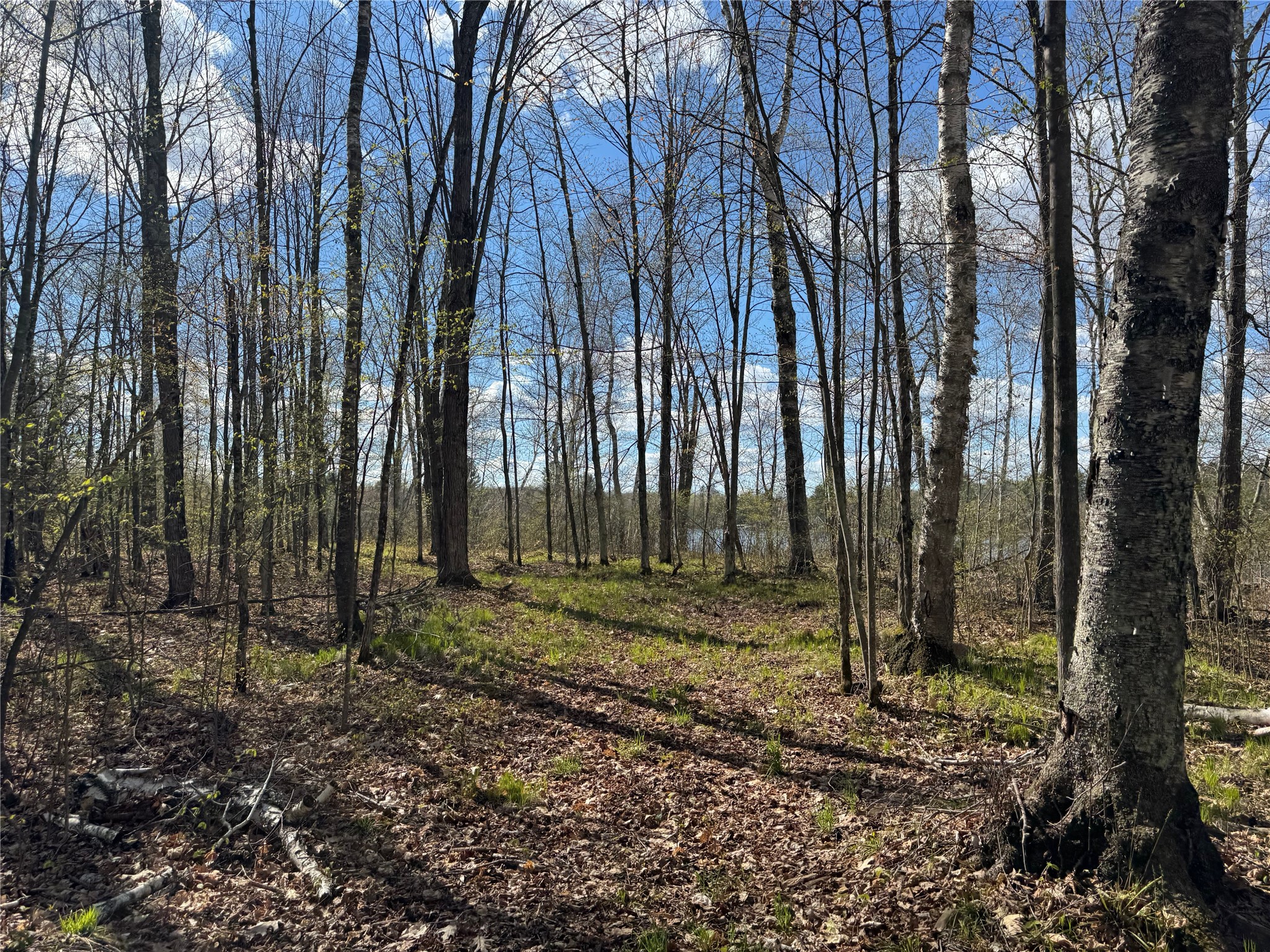Lot 7 Trapper Trail Hayward WI 54843 - Chippewa 1601111 image32