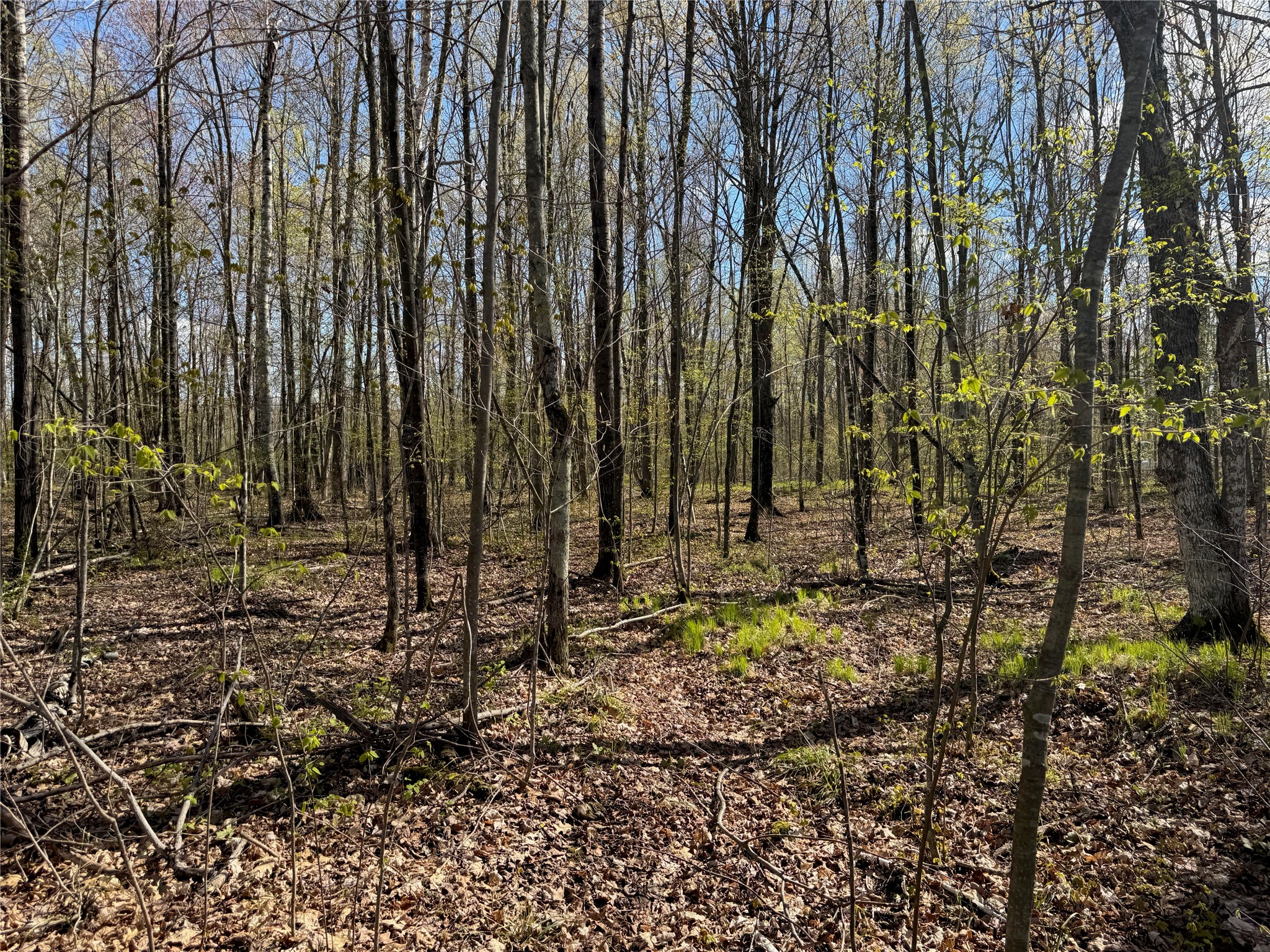 Lot 7 Trapper Trail Hayward WI 54843 - Chippewa 1601111 image33