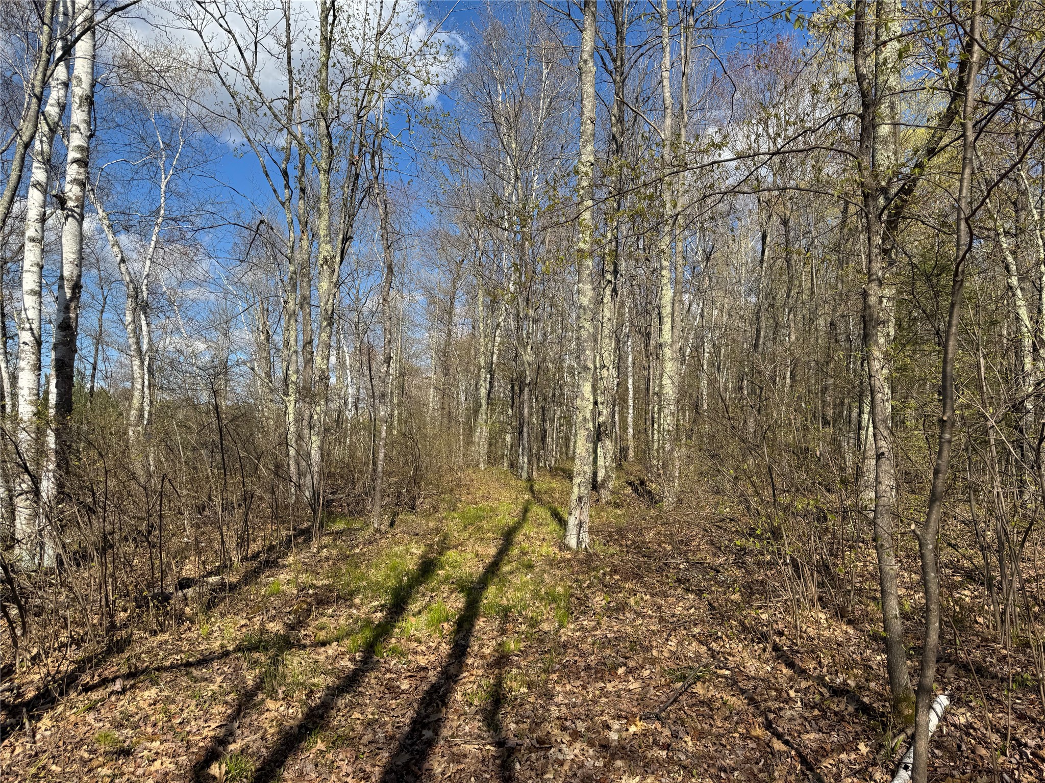 Lot 7 Trapper Trail Hayward WI 54843 - Chippewa 1601111 image34