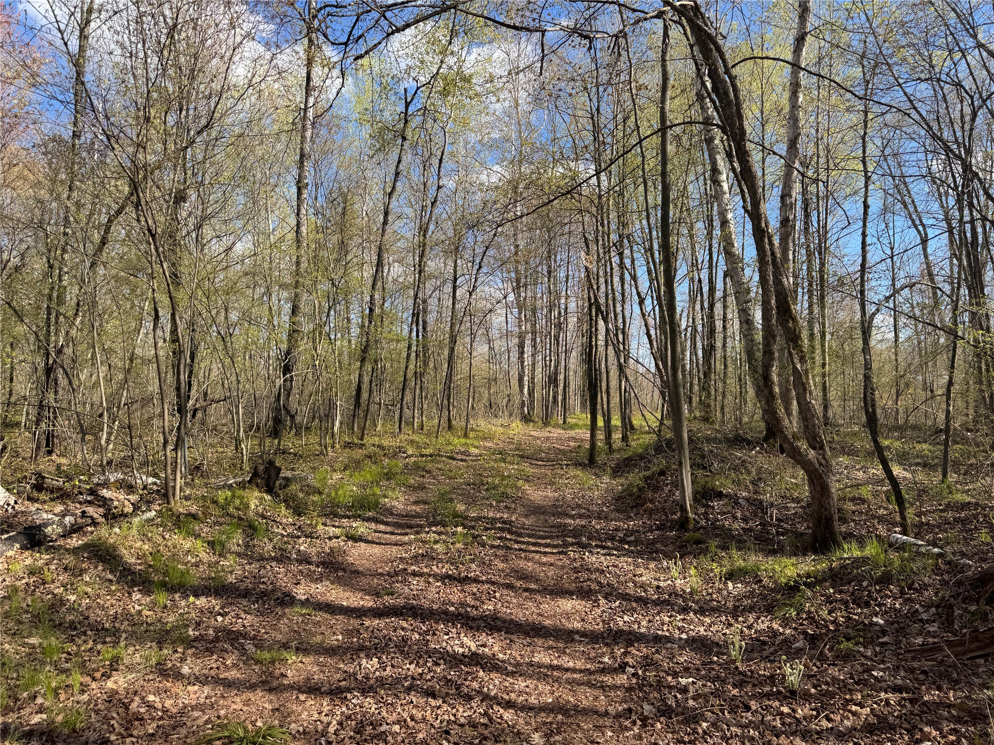Lot 7 Trapper Trail Hayward WI 54843 - Chippewa 1601111 image35