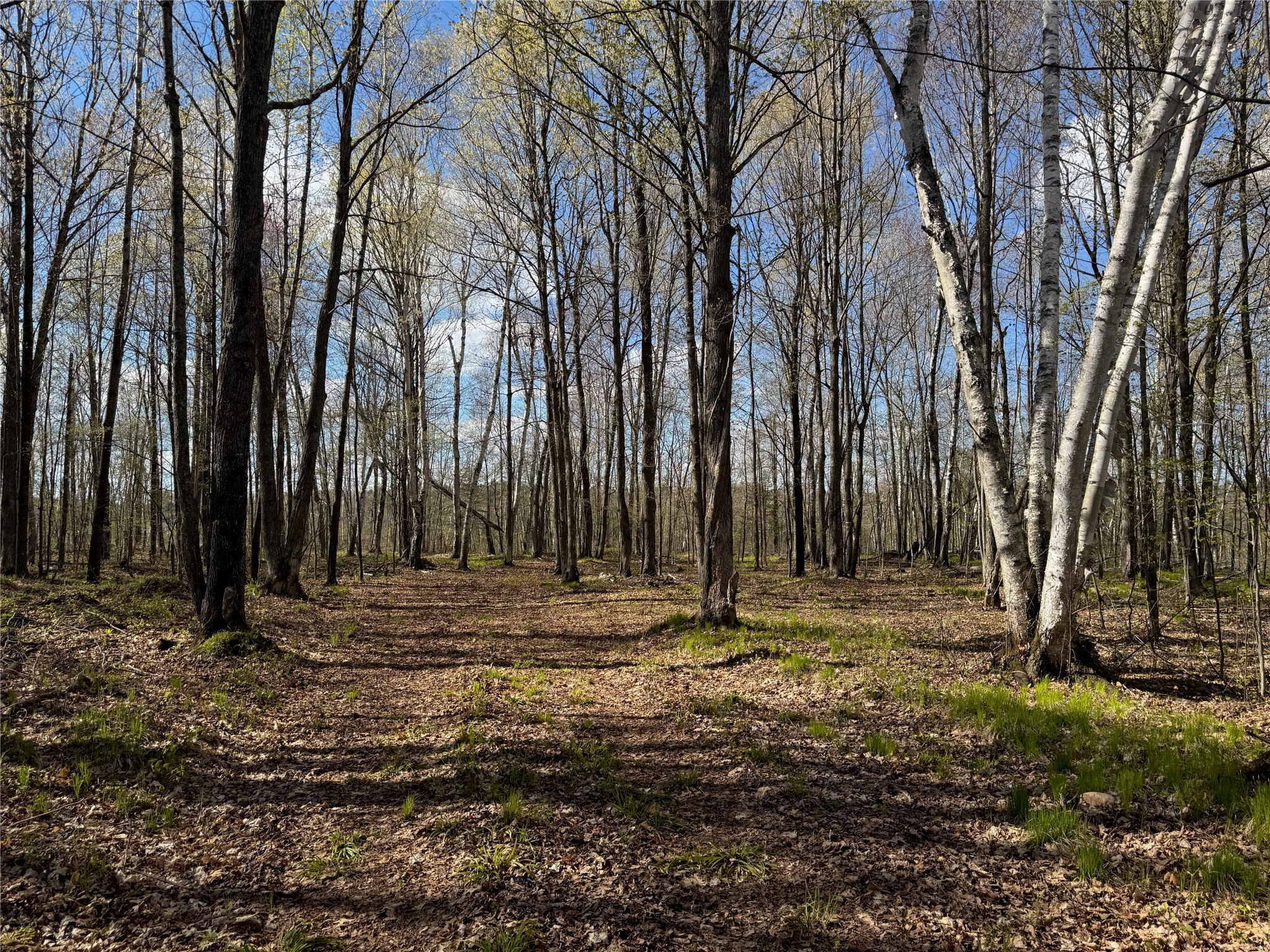 Lot 7 Trapper Trail Hayward WI 54843 - Chippewa 1601111 image36