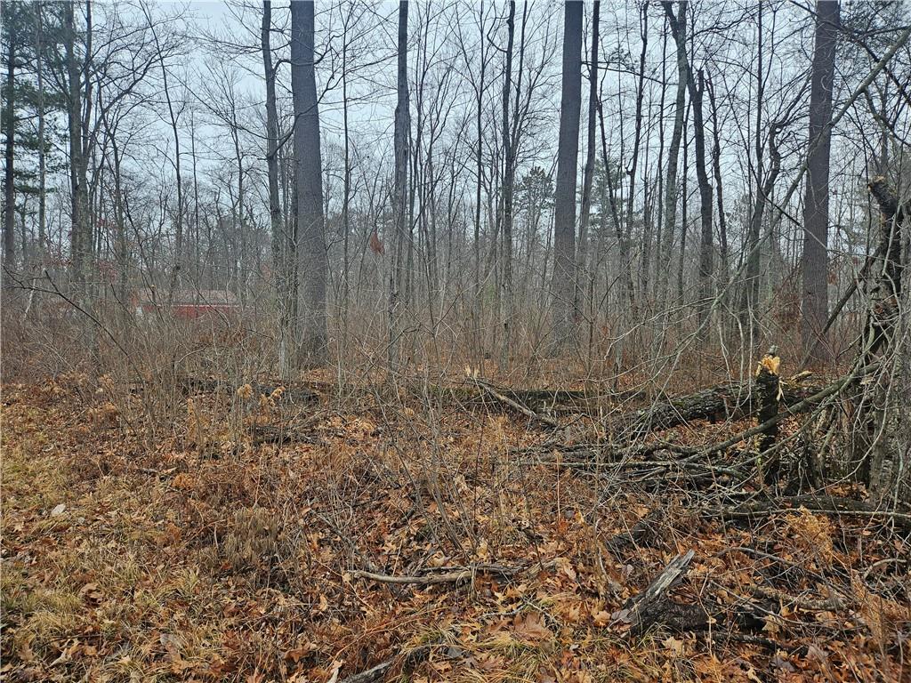 Lot 8-10 29-33 N John Ericsson Avenue Hayward WI 54843 1578746 image1