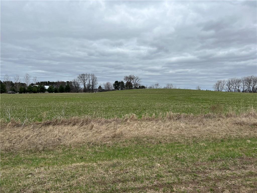 Lot 8 525th Avenue Elk Mound WI 54739 1563712 image1