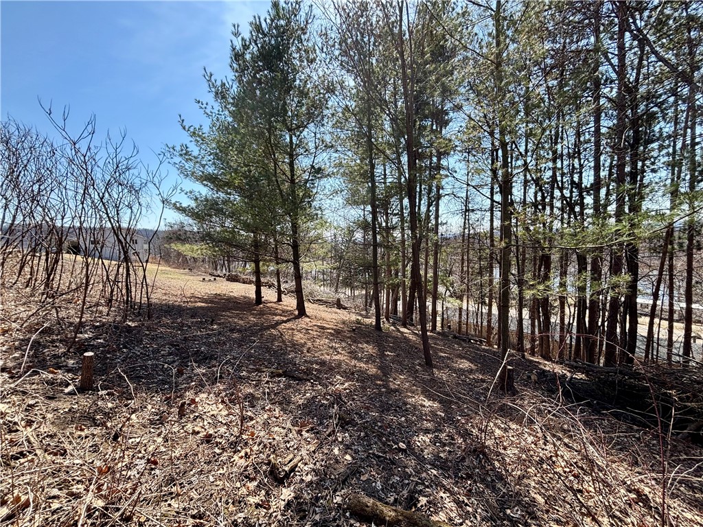 Lot 8 & 9 Windsong Terrace Alma WI 54610 1590011 image10