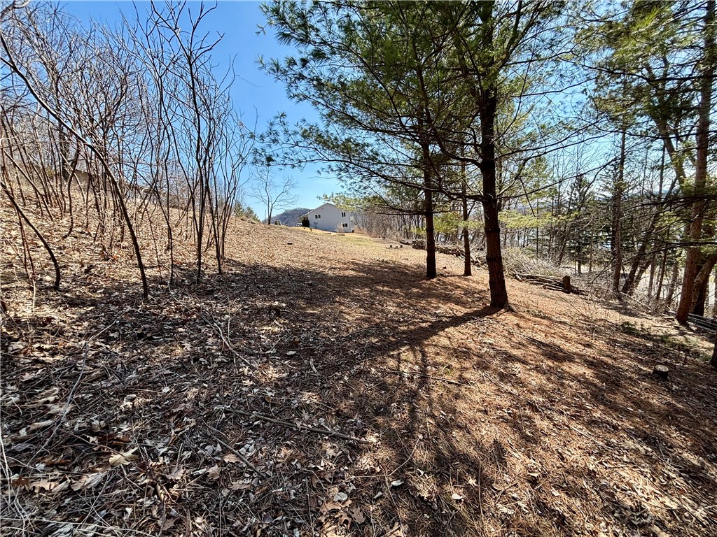 Lot 8 & 9 Windsong Terrace Alma WI 54610 1590011 image11