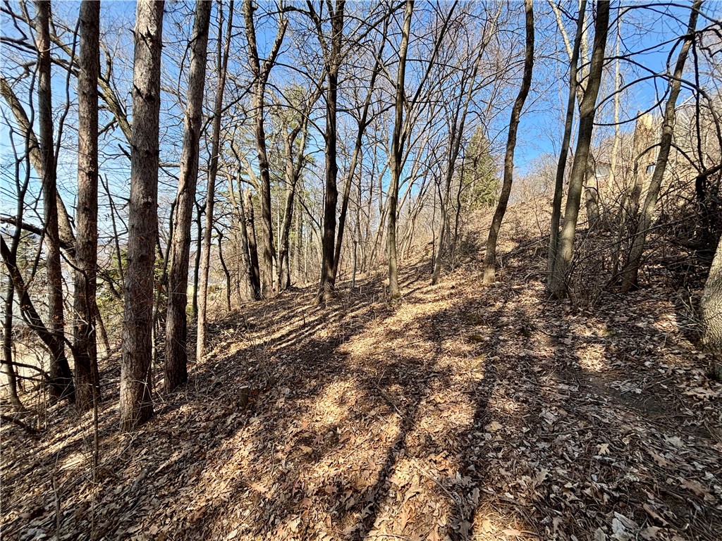 Lot 8 & 9 Windsong Terrace Alma WI 54610 1590011 image12