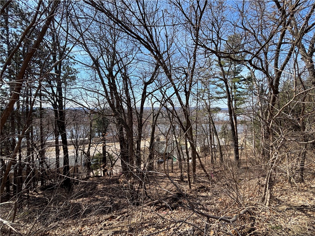Lot 8 & 9 Windsong Terrace Alma WI 54610 1590011 image19