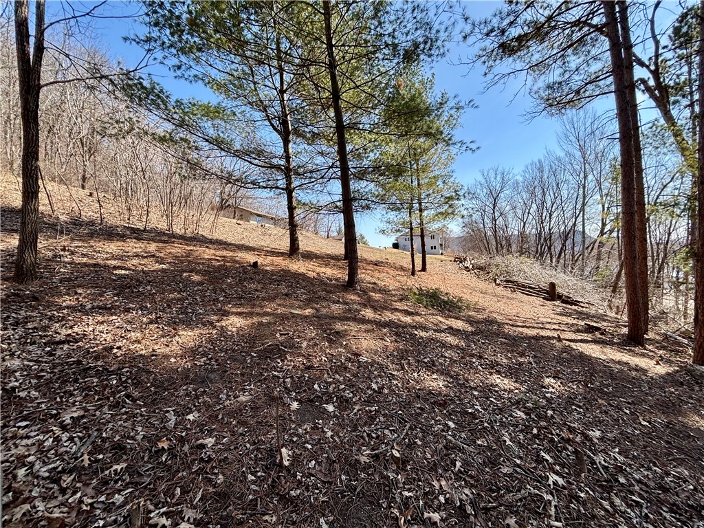 Lot 8 & 9 Windsong Terrace Alma WI 54610 1590011 image8