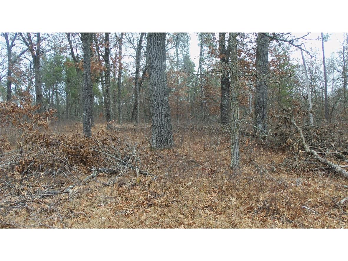 Lot 8 Canute Creek Trl Grantsburg WI 54840 1597826 image12