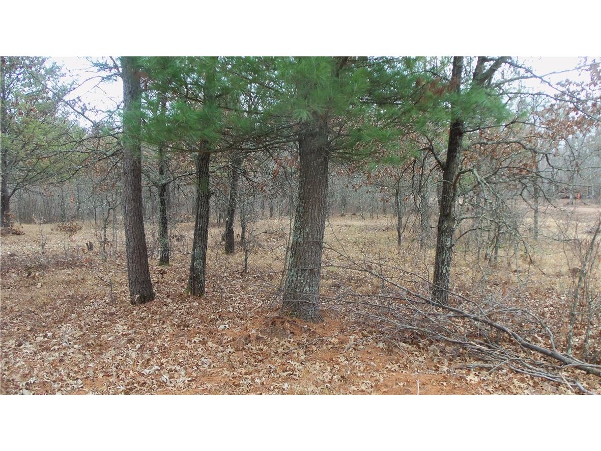 Lot 8 Canute Creek Trl Grantsburg WI 54840 1597826 image3