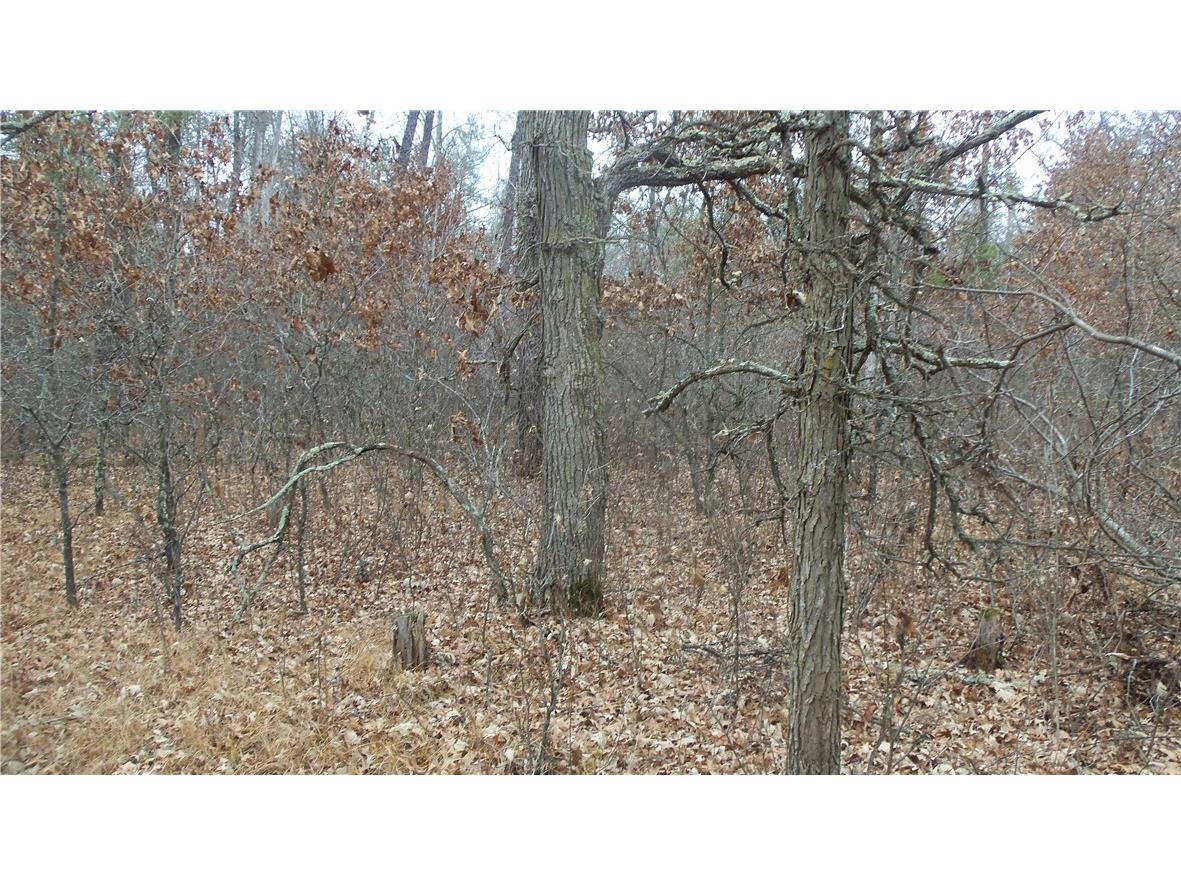 Lot 8 Canute Creek Trl Grantsburg WI 54840 1597826 image4