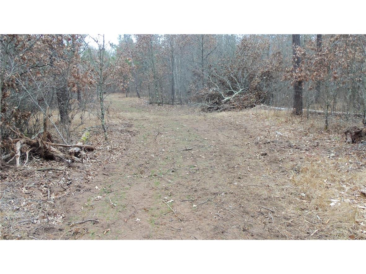Lot 8 Canute Creek Trl Grantsburg WI 54840 1597826 image6