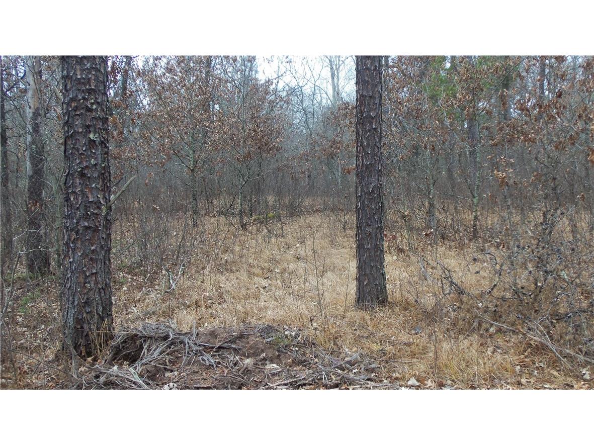 Lot 8 Canute Creek Trl Grantsburg WI 54840 1597826 image7