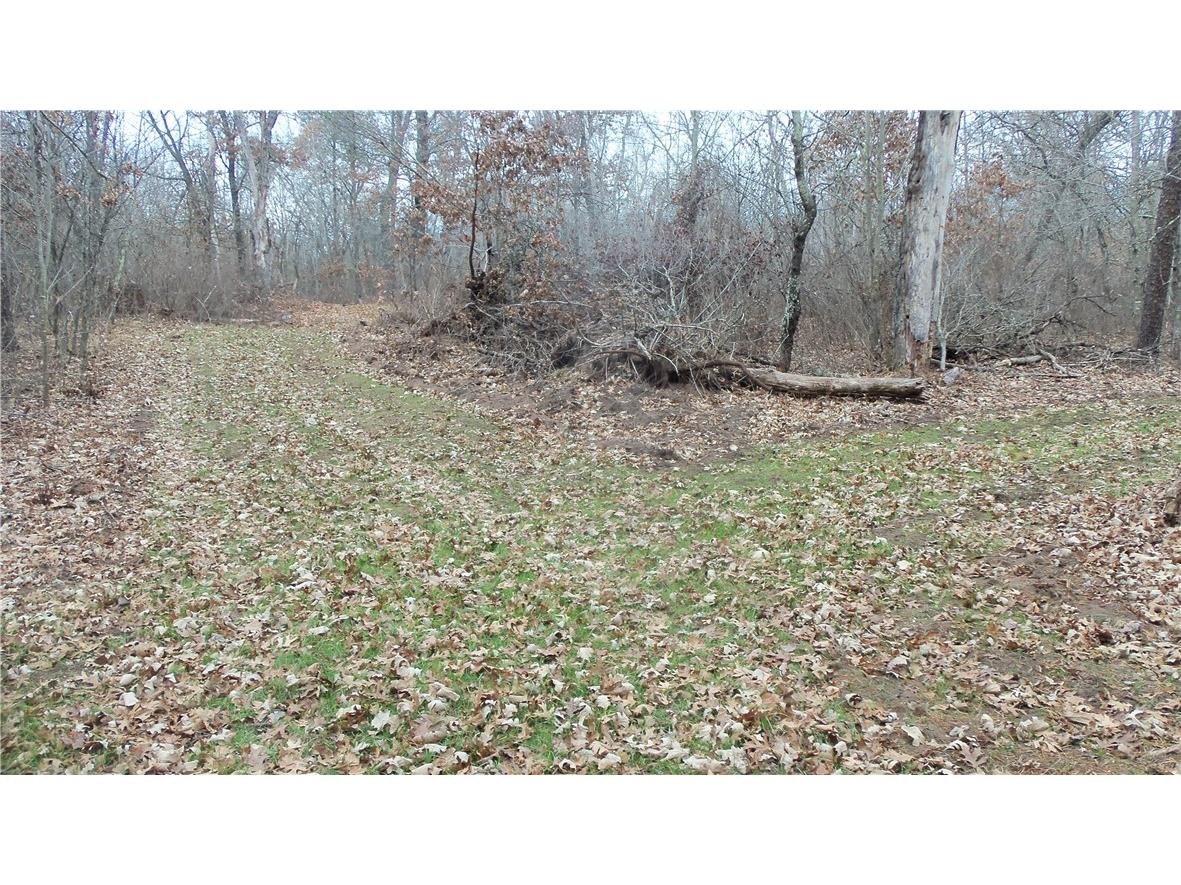 Lot 8 Canute Creek Trl Grantsburg WI 54840 1597826 image8