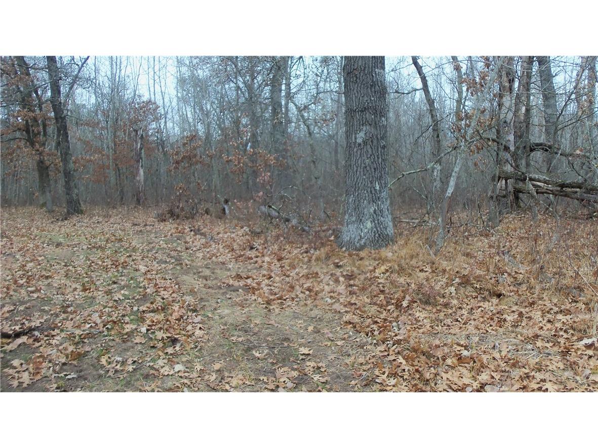 Lot 8 Canute Creek Trl Grantsburg WI 54840 1597826 image9