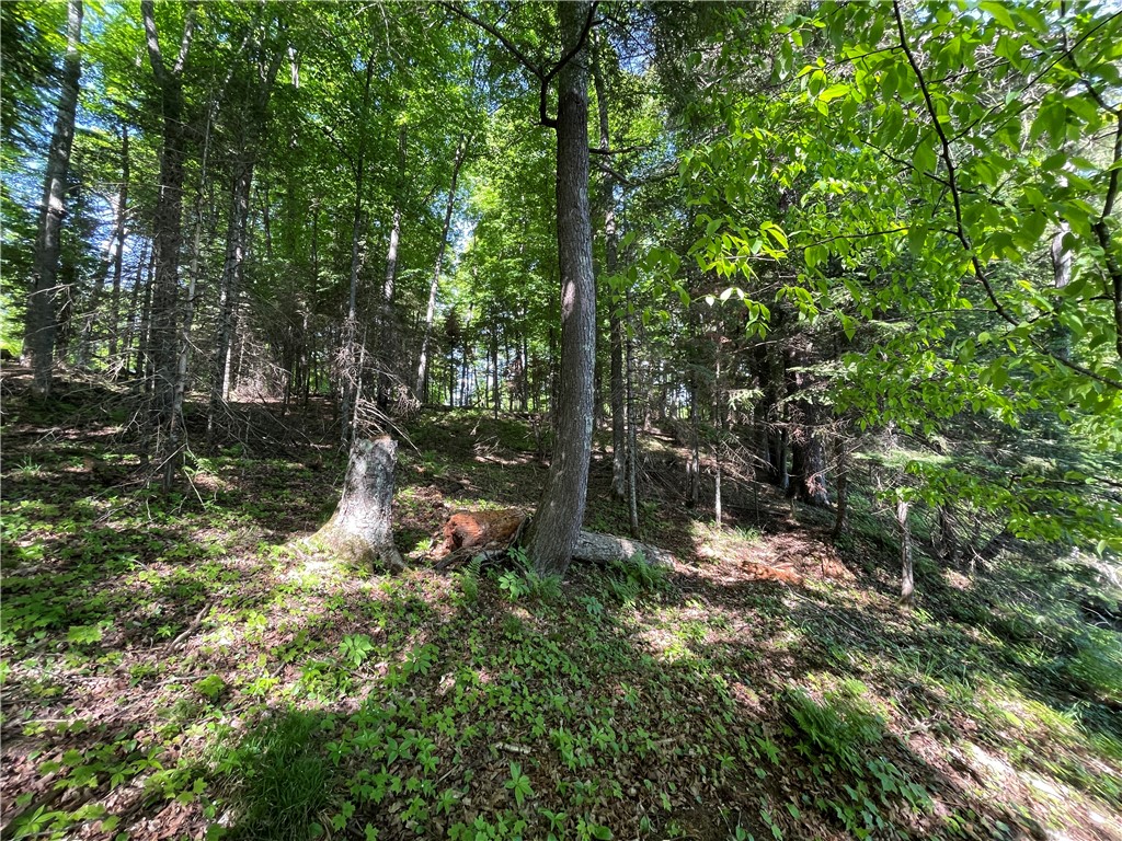 Lot 8 Crane Lane Hayward WI 54843 - Tiger Cat 1582551 image10