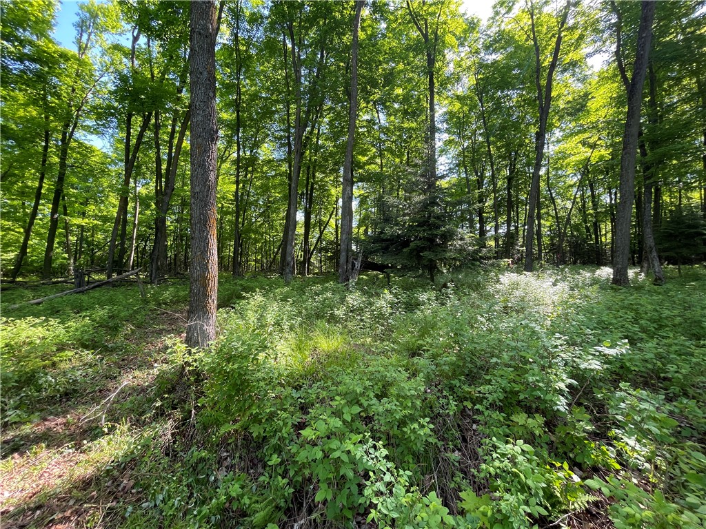 Lot 8 Crane Lane Hayward WI 54843 - Tiger Cat 1582551 image11