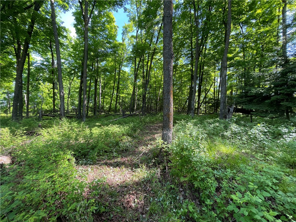 Lot 8 Crane Lane Hayward WI 54843 - Tiger Cat 1582551 image12