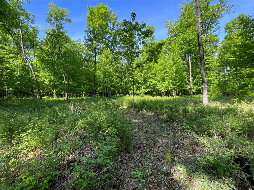 Lot 8 Crane Lane Hayward WI 54843 - Tiger Cat 1582551 image13