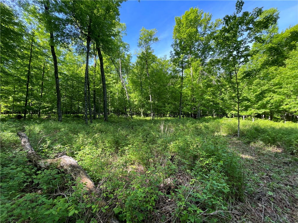 Lot 8 Crane Lane Hayward WI 54843 - Tiger Cat 1582551 image14