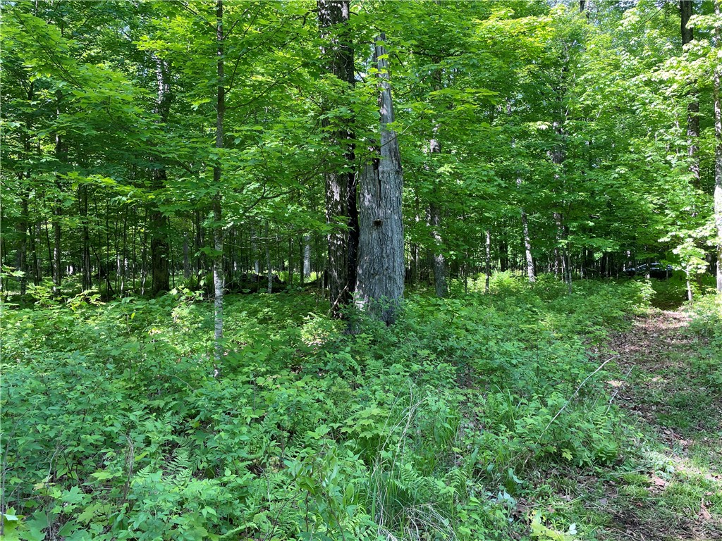 Lot 8 Crane Lane Hayward WI 54843 - Tiger Cat 1582551 image15