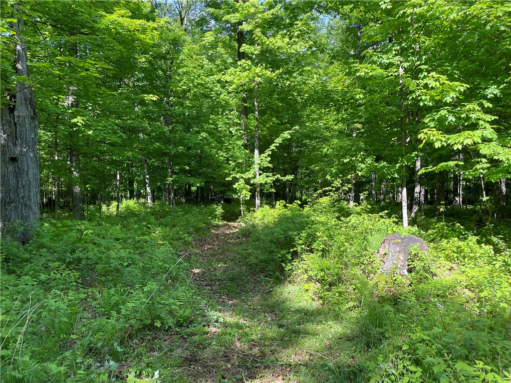 Lot 8 Crane Lane Hayward WI 54843 - Tiger Cat 1582551 image16