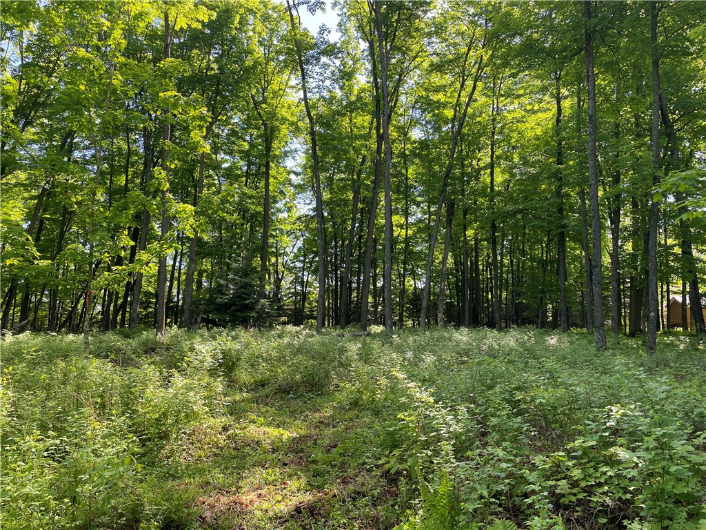 Lot 8 Crane Lane Hayward WI 54843 - Tiger Cat 1582551 image17
