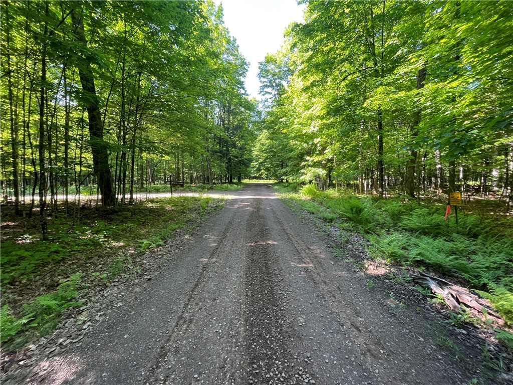 Lot 8 Crane Lane Hayward WI 54843 - Tiger Cat 1582551 image25