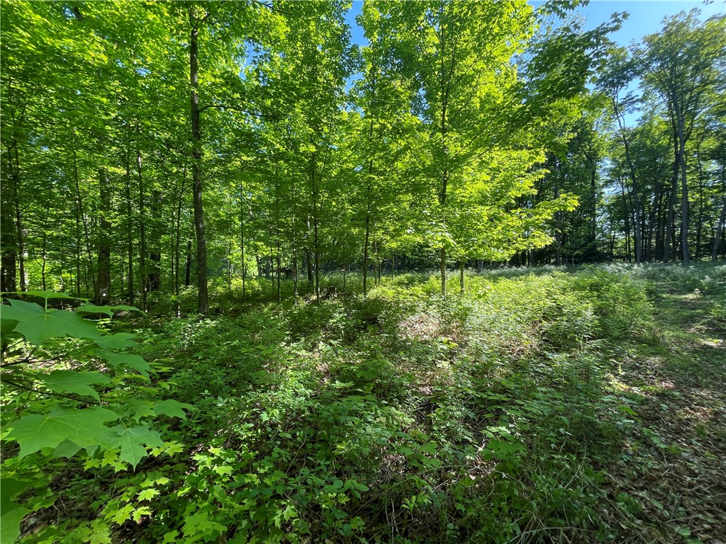 Lot 8 Crane Lane Hayward WI 54843 - Tiger Cat 1582551 image27