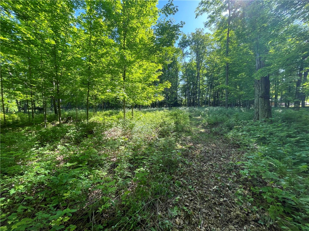 Lot 8 Crane Lane Hayward WI 54843 - Tiger Cat 1582551 image28