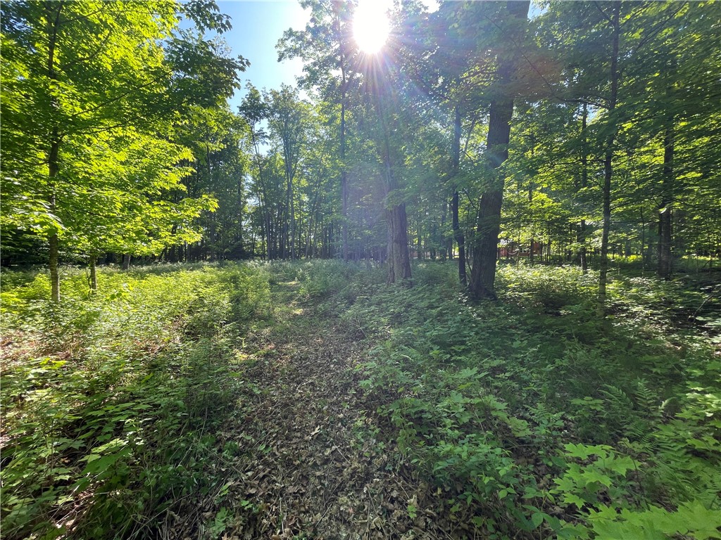 Lot 8 Crane Lane Hayward WI 54843 - Tiger Cat 1582551 image29