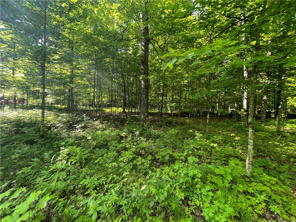 Lot 8 Crane Lane Hayward WI 54843 - Tiger Cat 1582551 image30
