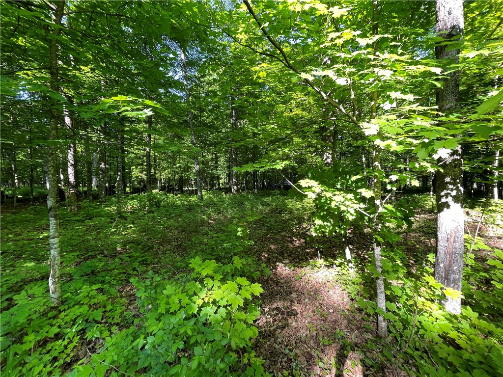 Lot 8 Crane Lane Hayward WI 54843 - Tiger Cat 1582551 image32