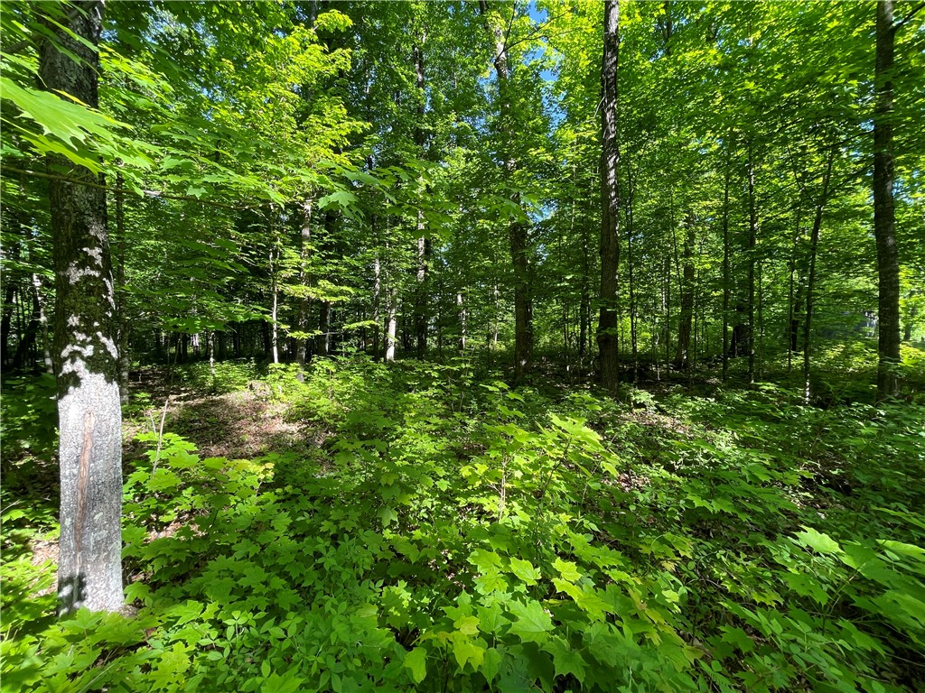 Lot 8 Crane Lane Hayward WI 54843 - Tiger Cat 1582551 image33